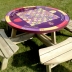 STD Interactive picnic table