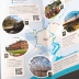 Newport Explorer Leaflet Welsh